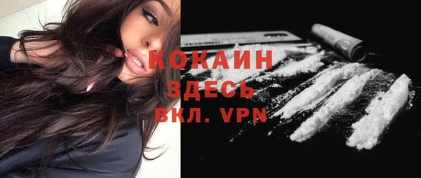кокс Арсеньев