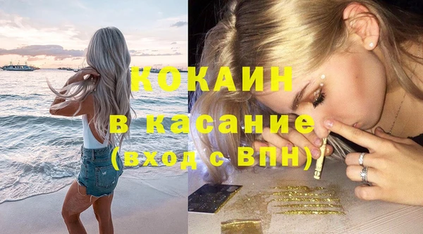 кокс Арсеньев