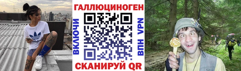Псилоцибиновые грибы Psilocybine cubensis  Малоярославец 
